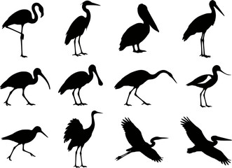 Fototapeta premium Wading Shore Birds Silhouette Set Vector - Flamingo Heron Pelican Stork Ibis Spoonbill Egret Avocet Crane Sandpiper Flying Icons