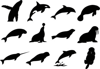 Aquatic Marine Mammals Silhouette Set Vector - Whale Orca Dolphin Manatee Narwhal Sea Lion Seal Walrus Beluga Sea Otter Icons © raccoontail