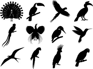 Fototapeta premium Exotic Tropical Birds Silhouette Set Vector - Peacock Toucan Macaw Hornbill Quetzal Bird of Paradise Kingfisher Hummingbird Icons