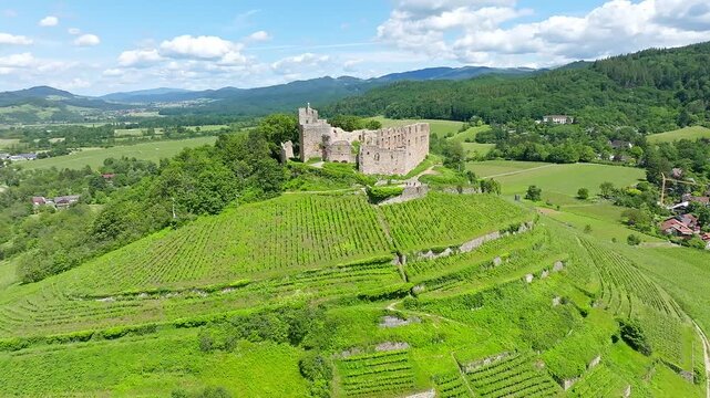 Aerial view of Staufen Castle, on a vineyard, Schlossberg, Staufen im Breisgau, Markgr&auml;flerland, Black Forest, Baden-W&uuml;rttemberg, Germany
