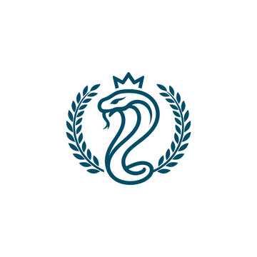 King Cobra Champion