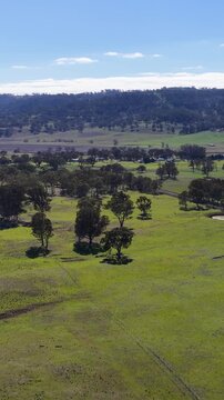 Aerial View of Rural Farmland and Pastures in Matheson Australia