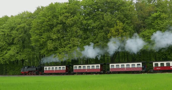 Molli steam train near Heiligendamm, Mecklenburg-Western Pomerania, Germany