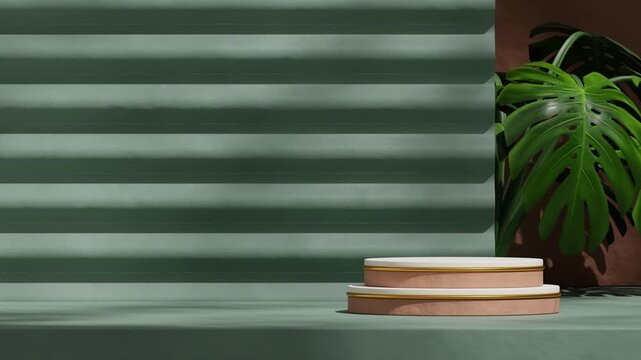 white gold brown cylinder podium looping seamless shadow animation with green mimosa plant, 3d render footage blank mockup