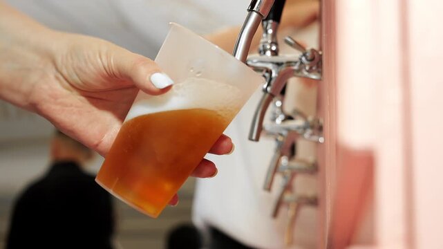 Close-up of draft beer pouring from a tap into a plastic cup. Bartender serving a fresh foamy beverage at a bar, pub, festival or catering event.