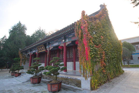 Buddhist temple building in autumn