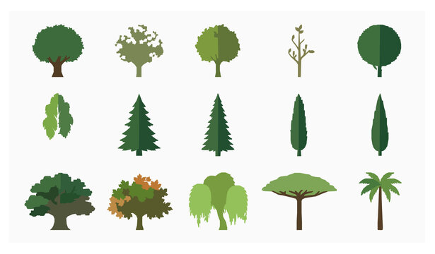 Diverse Minimalist Trees Flat Vector Illustration Collection on White