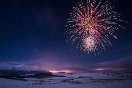 New Year fireworks in the night sky