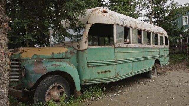 Old turquoise school bus number 142 sits rusting beside a dirt road under tall evergreen trees.