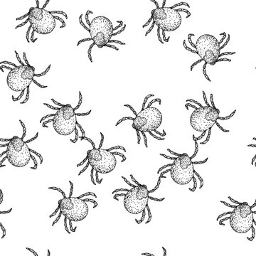 seamless pattern insect tick hand drawn. lyme mite, bite parasite, animal bed insect tick black sketch illustration