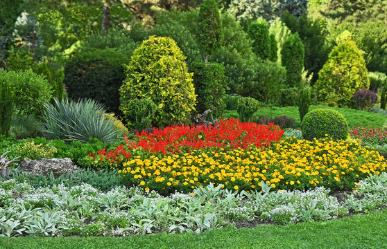 Flowerbed with variety plants