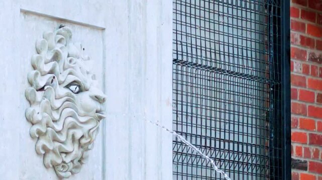 Ornate Stone Lion Head Fountain Sculpture on Wall with Water Stream