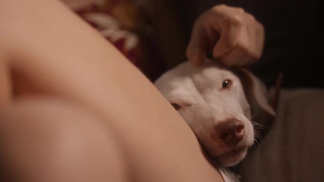 Close-up of a woman petting her dog while reading a book on the sofa.