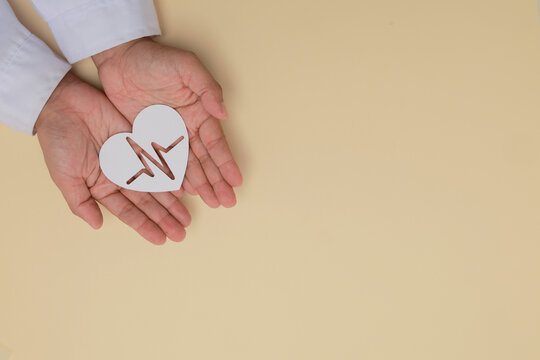 Doctor hand holding heart pulse paper showing gentle caregiving concept with medical health support and love on beige background