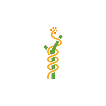 Flat vector illustration of orange dodder vine twining around a host plant stem, parasitic cuscuta isolated on white