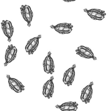 seamless pattern green chard hand drawn. beet bunch, spinach leaves, illustration rainbow green chard black sketch illustration
