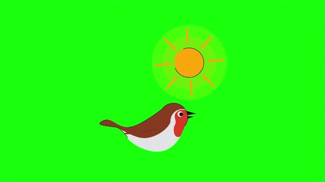 Cute robin bird and glowing yellow sun vector isolated on bright green screen background overlay.