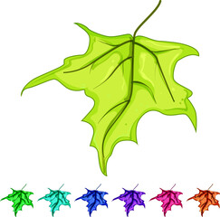 Obraz premium tree maple leaf cartoon. foliage color, season orange, brown green tree maple leaf sign colorful illustration