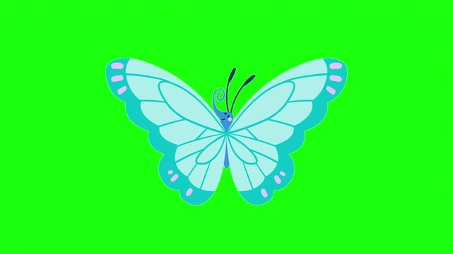 Cute blue butterfly vector illustration isolated on bright green screen background.