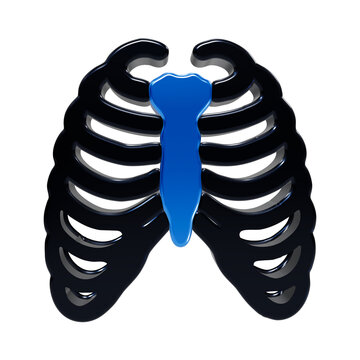 3d rendered human rib cage featuring glossy black ribs and a vibrant blue sternum bone isolated on a transparent background, medical anatomy, thoracic surgery, and health education