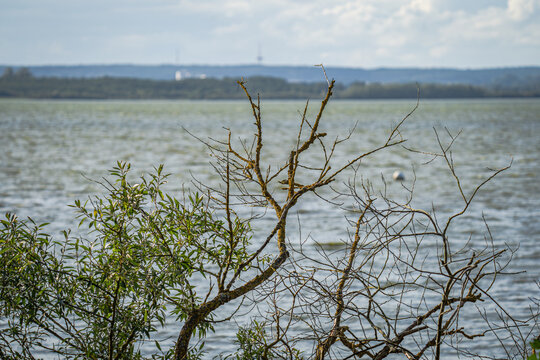 Ein kleines Segelboot mit wei&szlig;em Segel gleitet &uuml;ber das leicht gekr&auml;uselte, gr&uuml;nlich schimmernde Wasser des D&uuml;mmer-Sees. Im Hintergrund erstreckt sich ein dichter, dunkler Waldstreifen unter einem hel