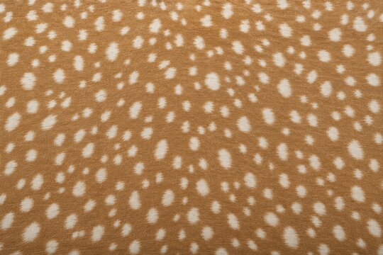 Fawn animal print texture with white spots pattern