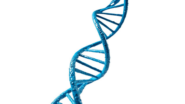 Vibrant blue 3D dna double helix molecule chain isolated on transparent background.