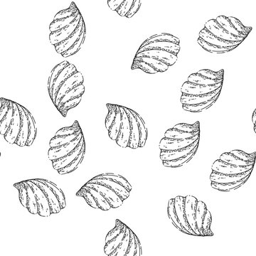 seamless pattern shell sea hand drawn vector. marine seashell, beach snail, ocean conch, clam animal, water scalop shell sketch illustration