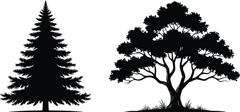 Black Silhouette of Pine and Broadleaf Trees Isolated on White Background, Forest Nature Botanical Landscape Design Vector Style Illustration Set