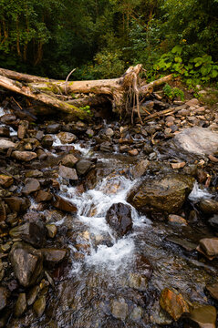 Mountain stream flowing through rocks in forest