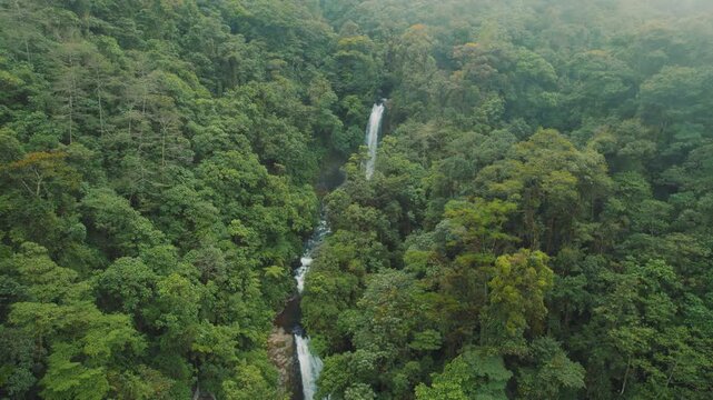Dense forest with a series of waterfalls cascading into a river in Costa Rica
