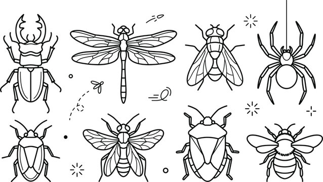 Set of wild insect bug beetle dragonfly spider fly bee stinkbug line art elements isolated on white background