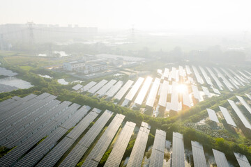 aerial view of solar photovoltaic panels in morning sunlight © zhangyang135769