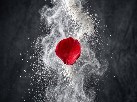 Ash and smoke, the ghost of a winter's breath. From this dust, a bleeding heart blooms&mdash;a defiant stain against the void.