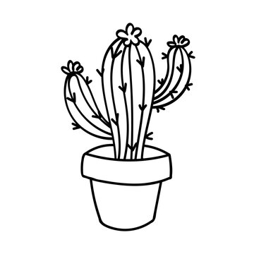 Blooming saguaro cactus in pot. Hand-drawn black line art vector illustration. Isolated sketch icon for desert theme, home gardening, wild west design, mexican holiday or coloring page