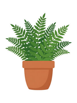 Fern plant growing inside a clay terracotta pot stands isolated on a clean transparent background.