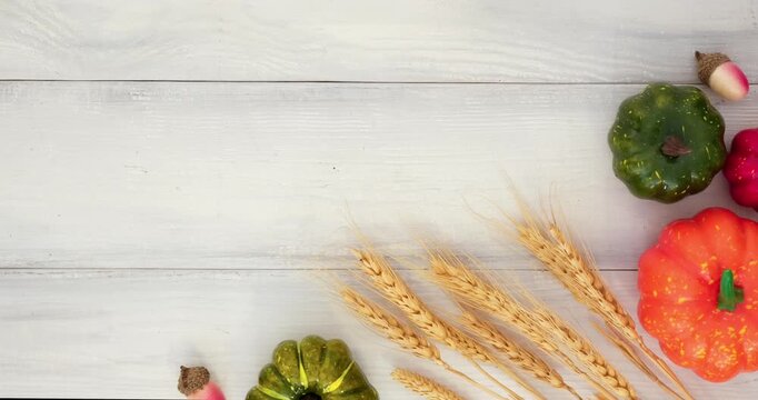 Colorful pumpkins, wheat ears, acorns and place for text on a white wooden background. Looped 4K stop motion animation 