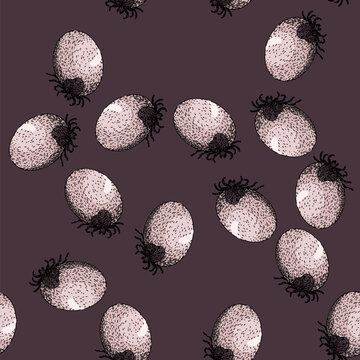 pattern bug tick hand drawn. insect lyme, mite bite, parasite animal bug tick vector sketch illustration