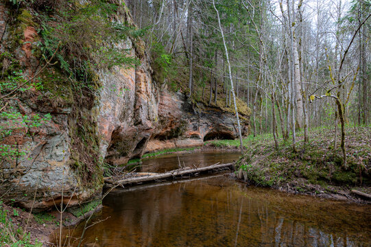 A beautiful spring landscape with sandstone outcrops on the banks of the Ligatne River,