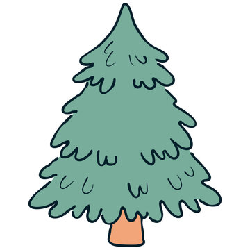 Christmas tree and winter fir pine tree cartoon illustration