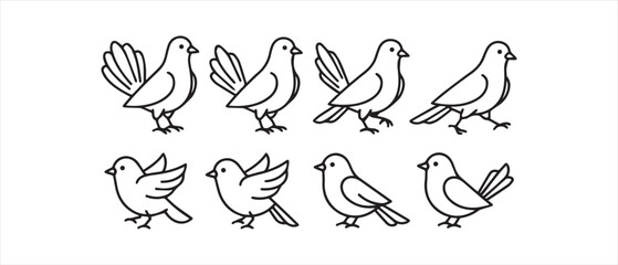 Obraz premium Simple line drawings of birds in various poses
