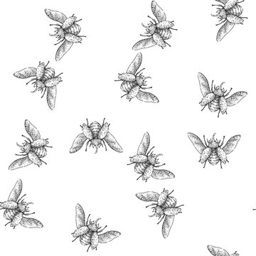 seamless pattern Rhinoceros beetle drawing in a detailed black and white etching style, showcasing the strong insect with its wings open, representing power, nature, and entomology