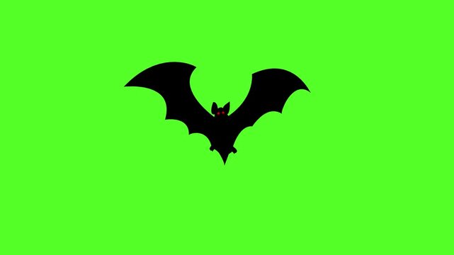 flying silhouette bat on a green screen