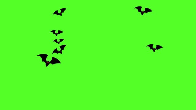 bast flying on a green screen