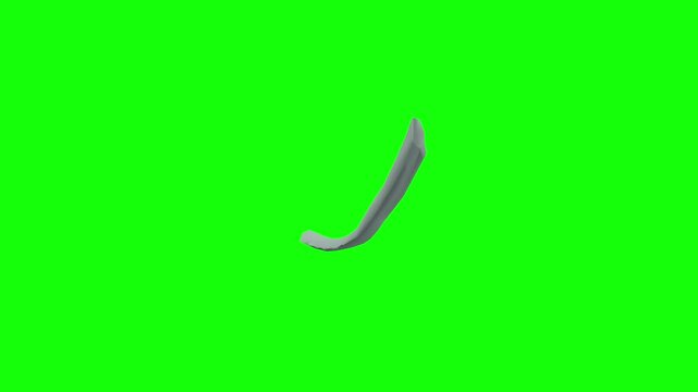 Tendinous Arch of Levator Ani Rotation Green Screen CC BY