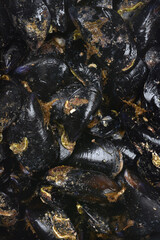A detailed top down view of a full frame vertical background consisting of a pile of fresh raw black mussels with closed shells. © nahhan