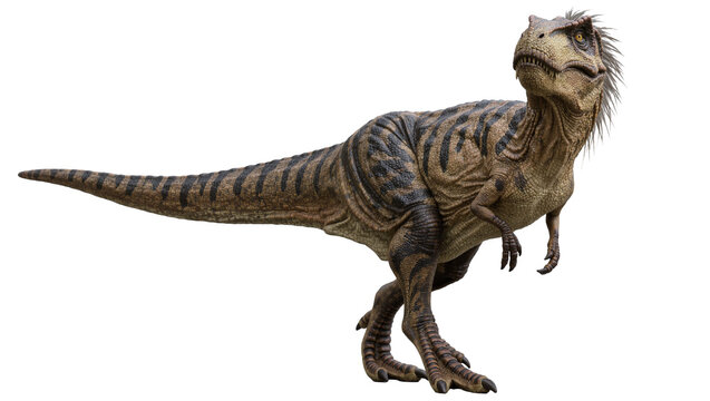 Brown and black striped Tyrannosaurus Rex dinosaur standing, isolated on transparent background