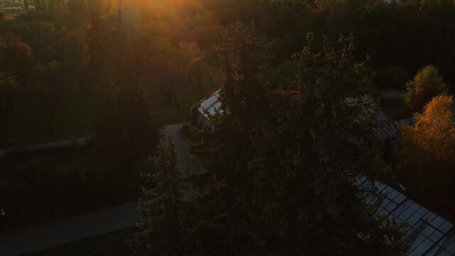 Sunset backlight over glass greenhouse with red ivy and autumn foliage at VDNH Kyiv