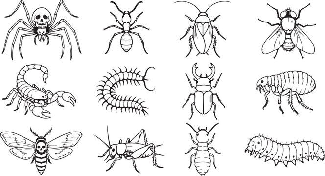 Vector set of black and white hand drawn insects
