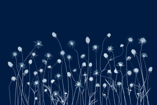 Beautiful vintage cyanotype style illustration of pressed wild flowers and meadow grass silhouettes on deep prussian blue background